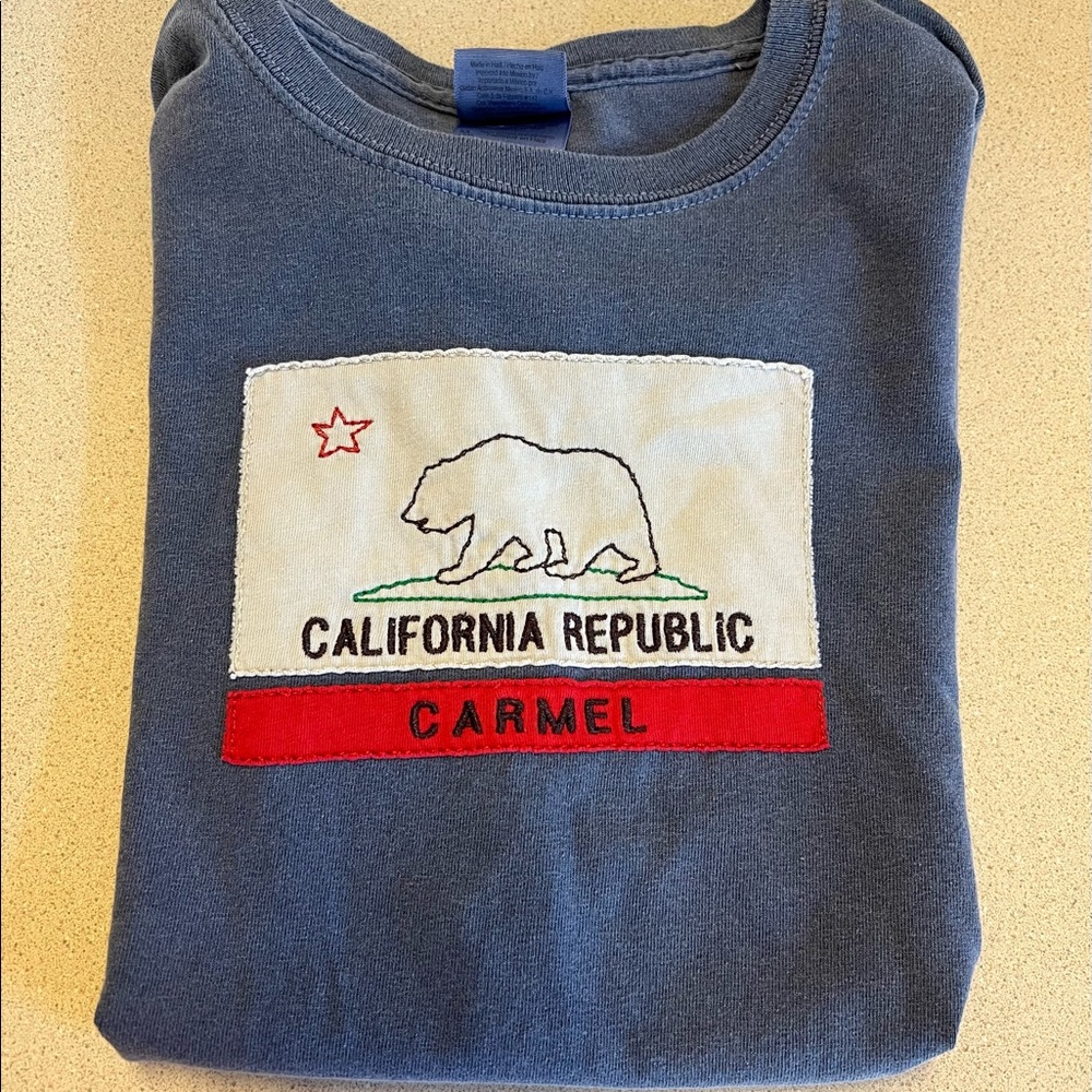 Gildan Brand Tshirt with California Bear Boys Size Medium